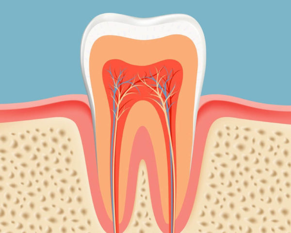 Root Canal Treatment in Charlotte NC